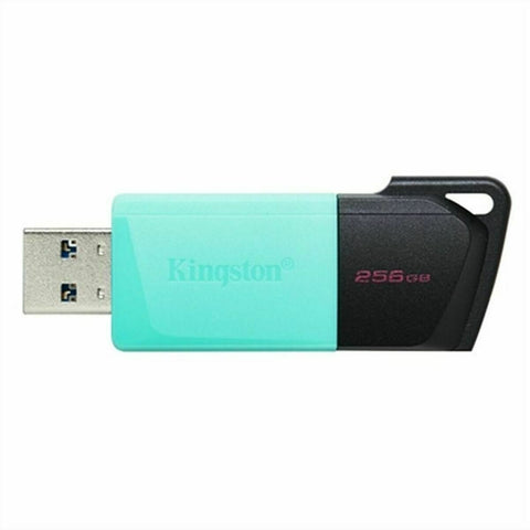 USB stick Kingston Exodia M Black 256 GB (1 Unit) USB stick Kingston Exodia M Black 256 GB (1 Unit)