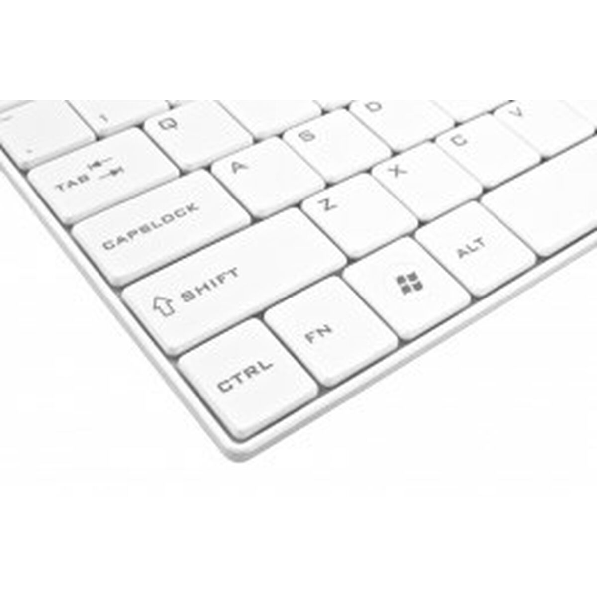 Keyboard and Mouse Esperanza EK122W White QWERTY Keyboard and Mouse Esperanza EK122W White QWERTY