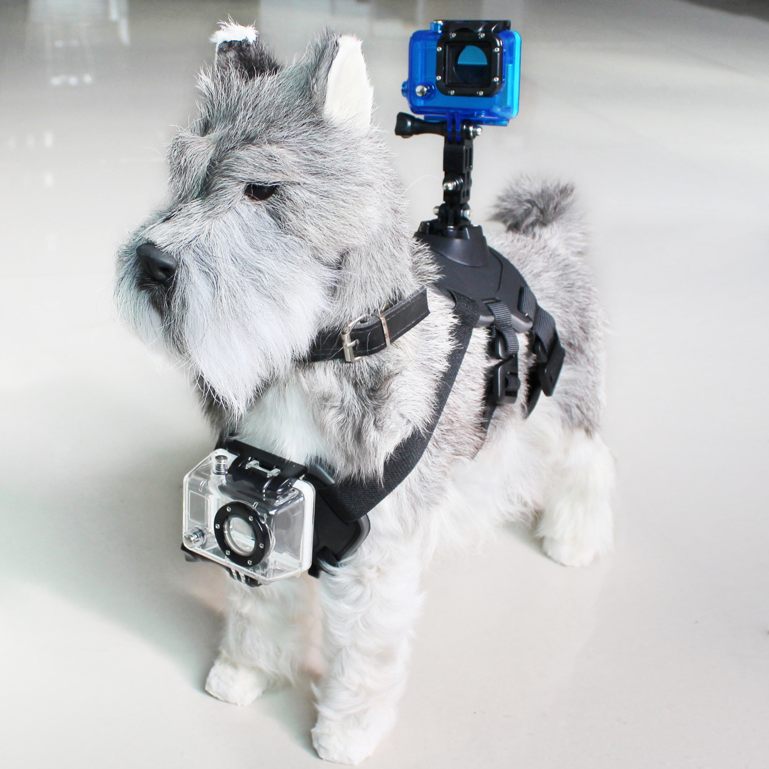 Pet Harness with Support for Sports Camera KSIX Black Pet Harness with Support for Sports Camera KSIX Black