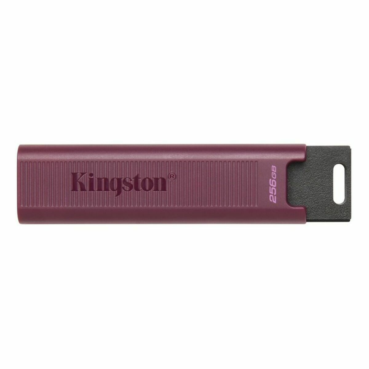 USB stick   Kingston Max         Red 256 GB USB stick   Kingston Max         Red 256 GB