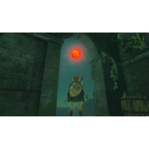 Video game for Switch Nintendo TLOZ TEA OFTKIN