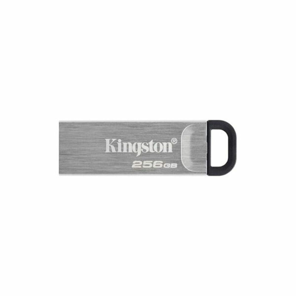 USB stick Kingston DTKN/256GB USB 3.2 Silver 256 GB
