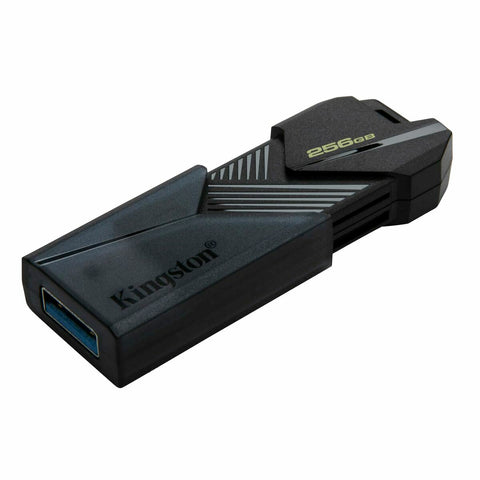 USB stick Kingston DTXON/256GB Black 256 GB