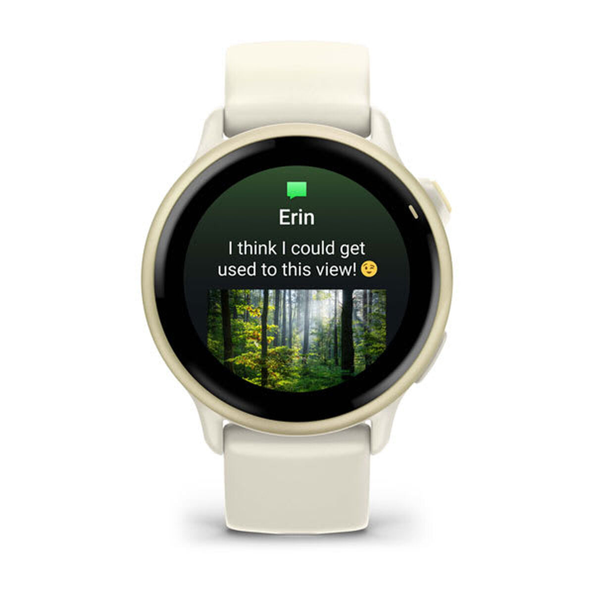 Smartwatch GARMIN 010-02985-01