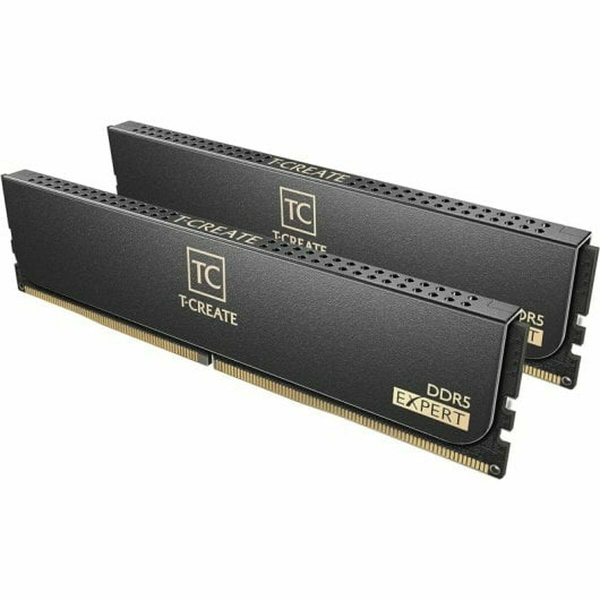 RAM Memory Team Group CTCED532G6000HC30DC01 32 GB DDR5 SDRAM DDR5 6000 MHz