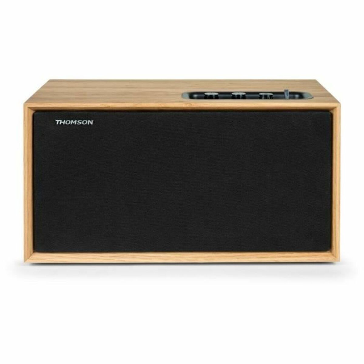 Portable Speaker Thomson WS502 Black Beige 100 W