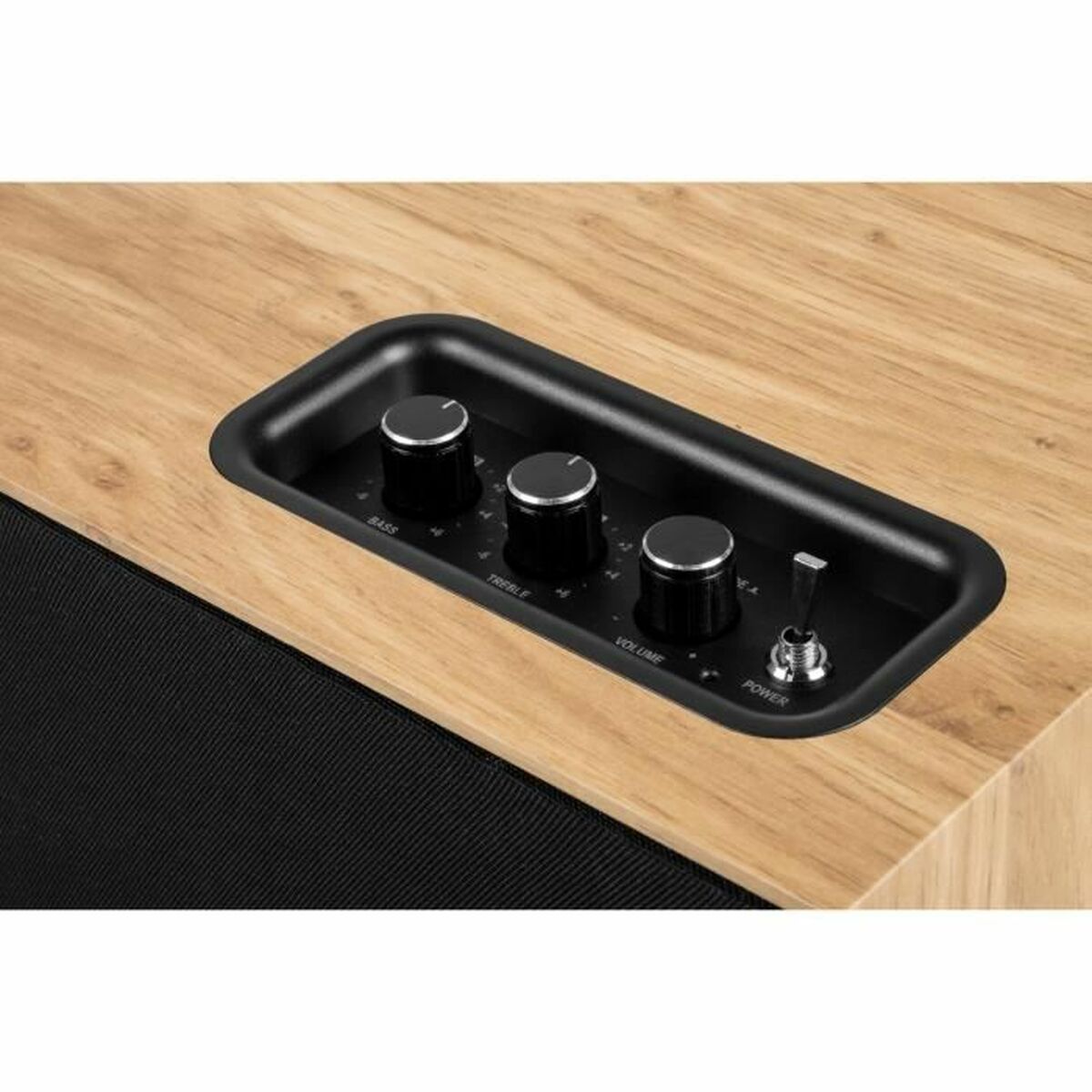 Portable Speaker Thomson WS502 Black Beige 100 W