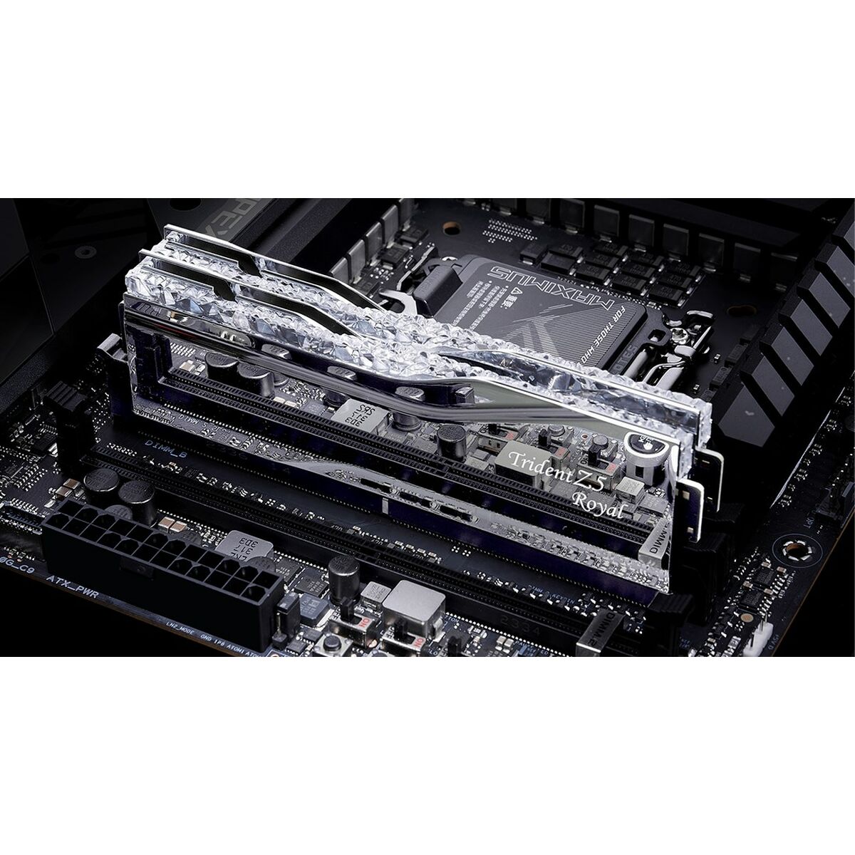 RAM Memory GSKILL F5-8000J3848F24GX2-TR5S