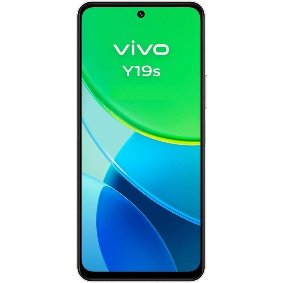 Smartphone Vivo Y19s Octa Core 8 GB RAM 256 GB Silver