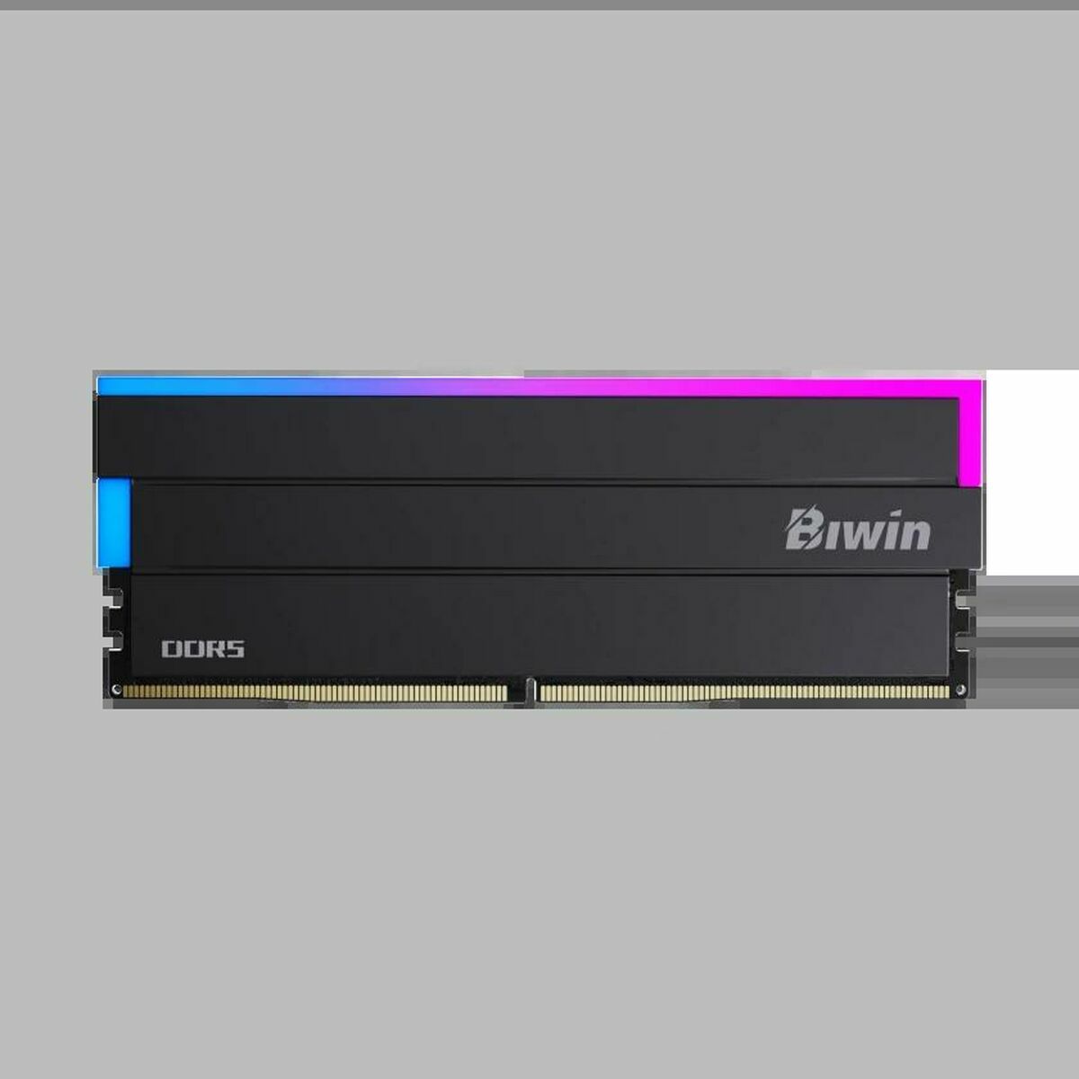RAM Memory Biwin DW100 DDR5 6000 MHz 32 GB Black
