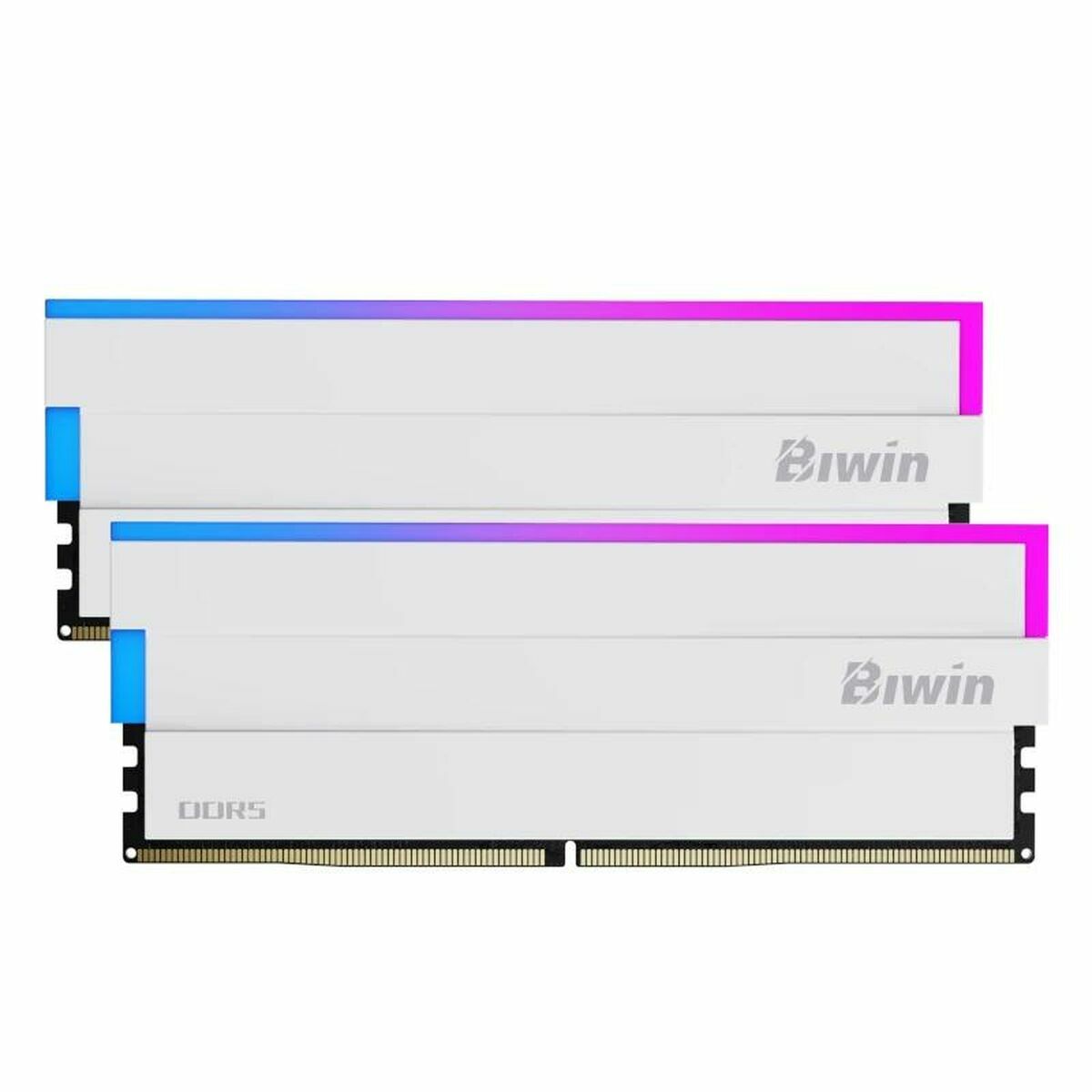 RAM Memory Biwin DW100 DDR5 6000 MHz 32 GB cl30