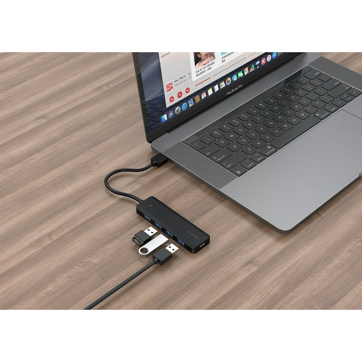 USB Hub GEMBIRD UHB-U3P4P-02