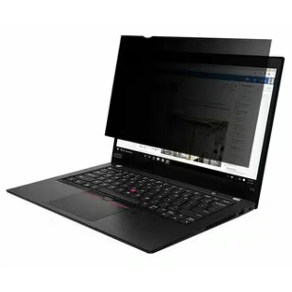 Privacy Filter for Monitor V7 PS160WA10 16"